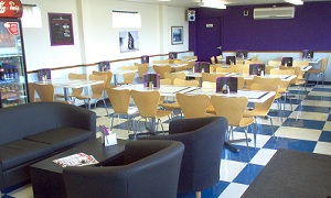 Jestersdiner.com